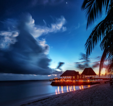 Digital Nomad and Upwork freelancer - tropical night sky